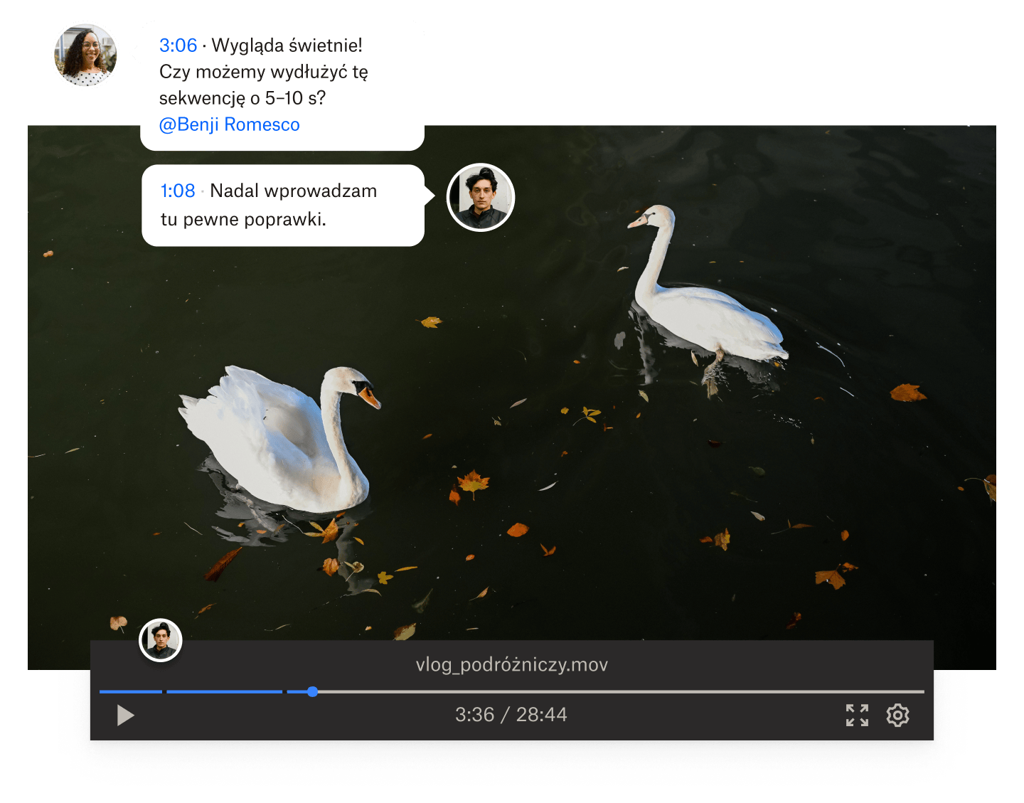 Kadr z filmu przedstawiający dwa łabędzie pływające w wodzie z komentarzami ze znacznikami czasu nałożonymi na film